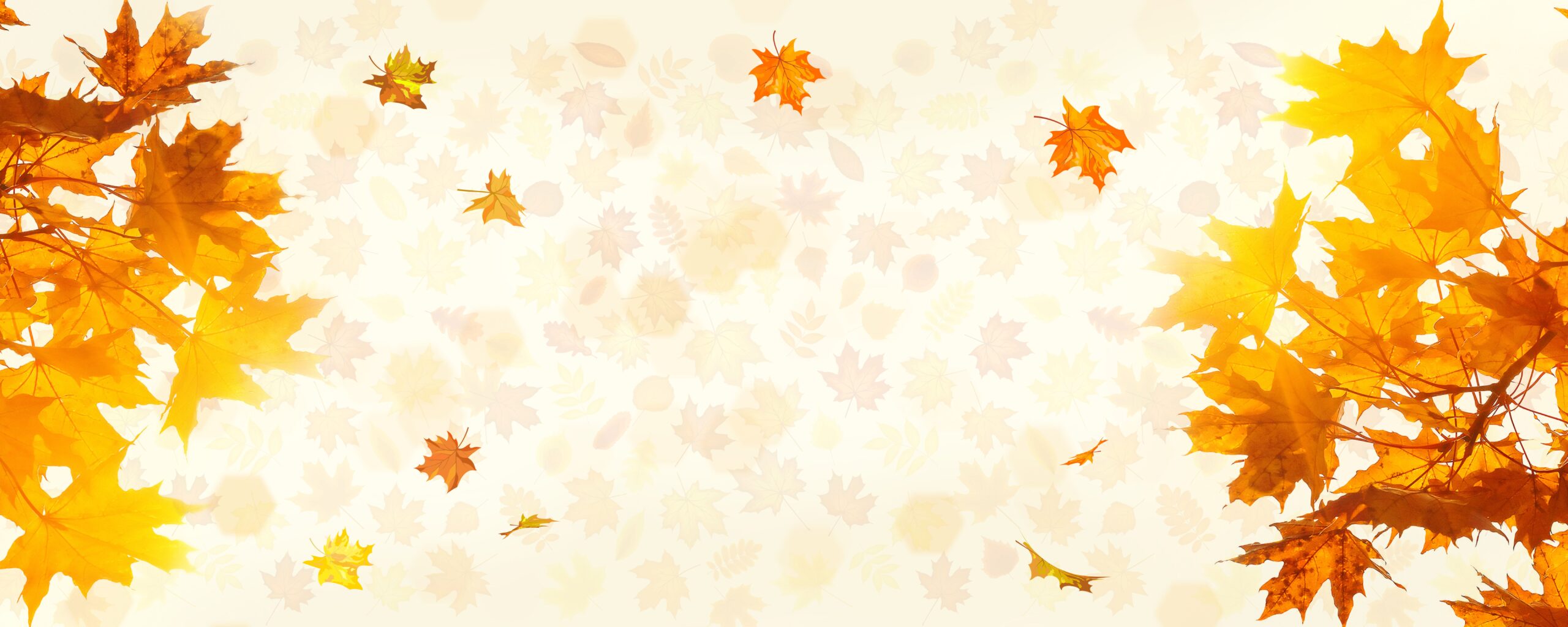 Orange and Cream Natural Foliage Autumn Sale Banner